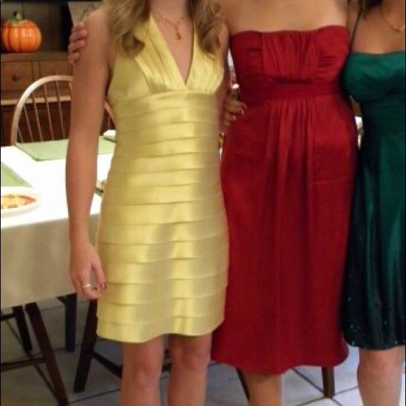 BCBG Maxazria dress - Picture 5 of 5